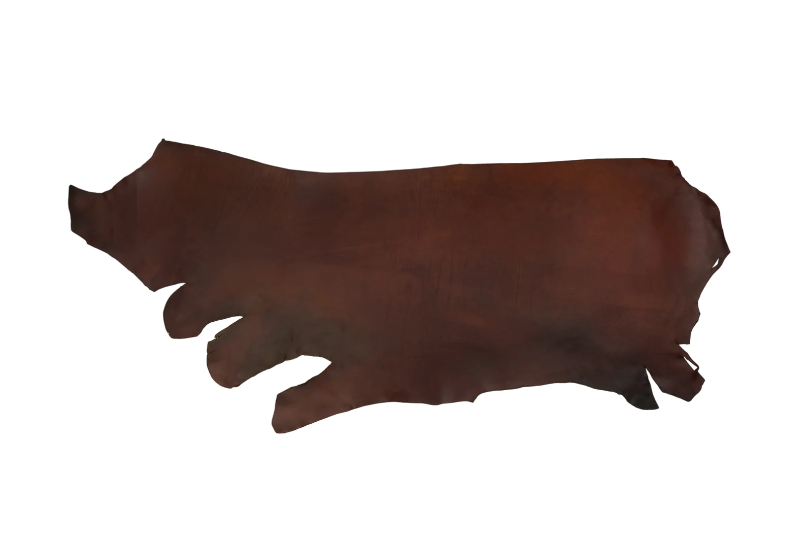 Premium Bridle Leather Craft Excellence with Canada's Leading Leather Supplier Canadian Owned