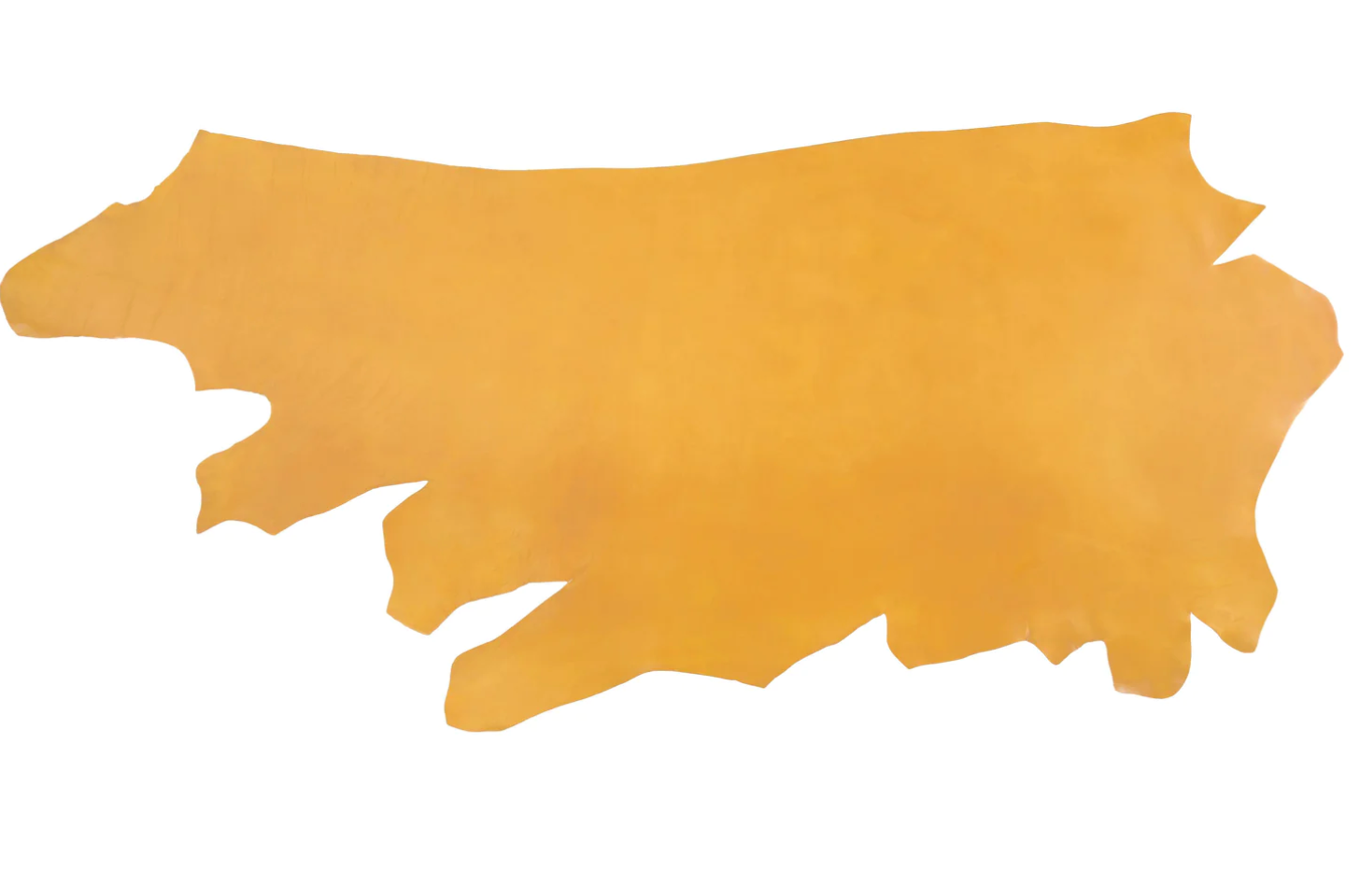 Premium Bridle Leather Craft Excellence with Canada's Leading Leather Supplier Canadian Owned